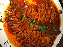 金毛狮子鱼-丹江渔村(首都机场店)