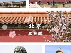 -四季民福烤鸭店(前门店)