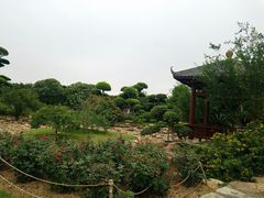 -南宁南湖公园