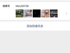 -菲诺·爱弥儿托育中心(陶然亭园区)