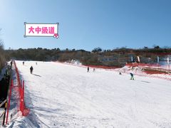 -蓟洲国际滑雪场