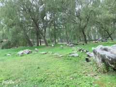 -秦皇岛野生动物园
