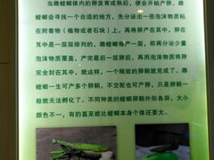 -上海昆虫博物馆