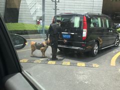 -上海中心大厦·地下停车库