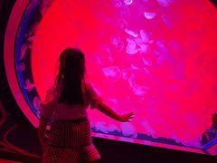 -沈阳海洋探索中心