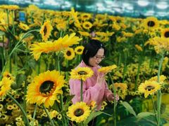 -天津梵高星空艺术馆(天河城旗舰店)