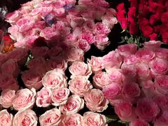 -越秀西湖花市(广州城市广场花卉店)