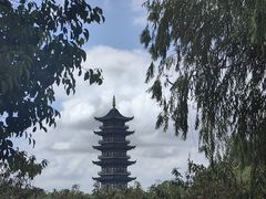 -舌尖葱包烩