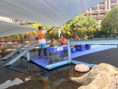 -新加坡水上探险乐园