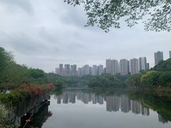 -重庆彩云湖湿地公园