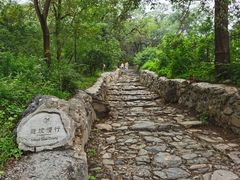 -阳台山自然风景区