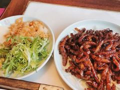 -小吊梨汤·北京菜·烤鸭(鸟巢店)