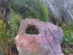 -中国科学院西双版纳热带植物园