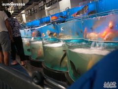 -AEON永旺(东方宝泰店)