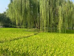 -北坞公园