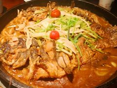 -老板恋上鱼(恒隆广场店)