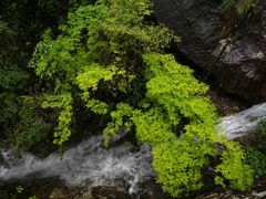 -雁荡山三折瀑景区