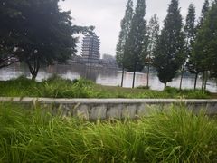 -眉山湿地公园(东坡区)