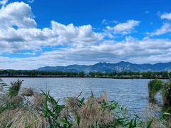 -野鸭湖国家湿地公园