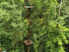 -西双版纳原始森林公园