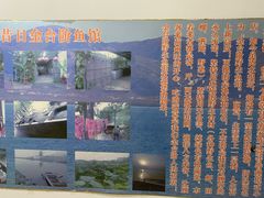 -金台阶鱼馆(于桥水库店)