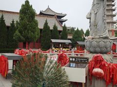 -大槐树寻根祭祖园