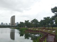 -万绿园