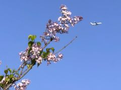 -斯普瑞斯奥特莱斯