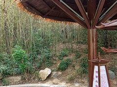 -徂徕山森林康养度假谷温泉