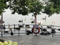 -艾溪湖湿地公园