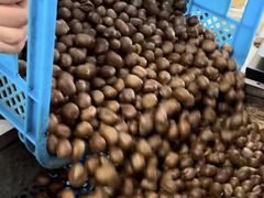 -金栗王(清扬路店)