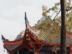 -黔灵山公园