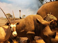 -陕西自然博物馆