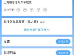 -龙阳路磁悬浮列车总站-停车场