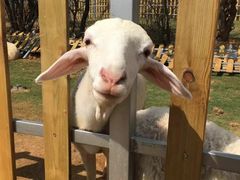 -云漫湖生态度假公园