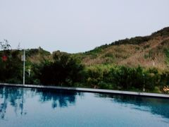 -品泉餐厅·大盆鱼·走地鸡