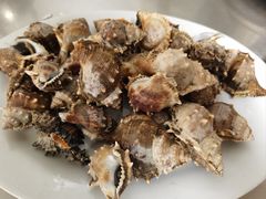 -哈味食店(外伶仃岛店)