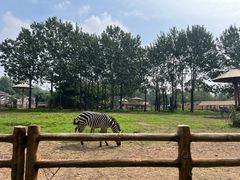 -大连森林动物园