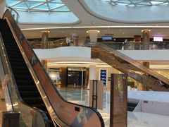 -棕榈MALL