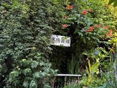 -斯多格书乡(北京大学畅春园店)