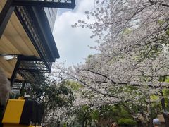 -玛格萝妮比萨屋(四平店)