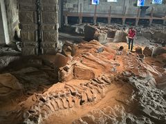 -自贡恐龙博物馆