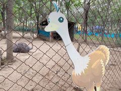 -草根堂农场