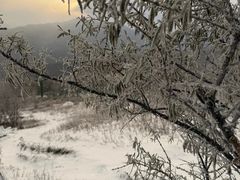 -灵山