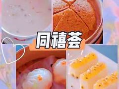 -同禧荟·港味海鲜火锅·粤菜(三亚湾店)