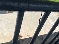 -哈尔滨北方森林动物园