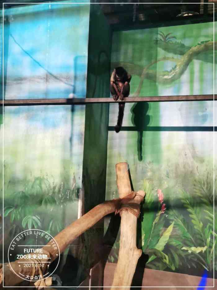 future zoo未来动物城(哈尔滨银泰城店)-"清明小长假有活动,99元两位