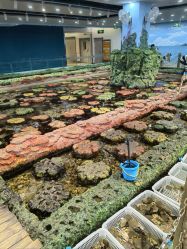 -钓虾工场·钓虾·赶海(回龙观店)