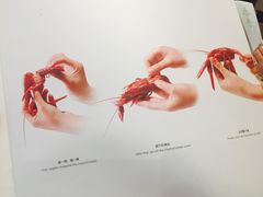 -花家怡园
