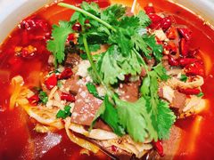 -蝶园·装修中(BFC外滩金融中心店)